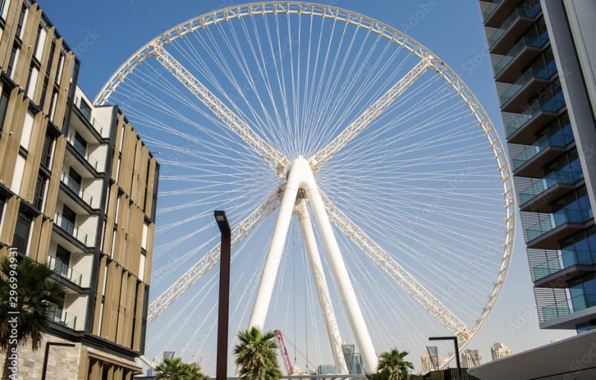 Excursion à Dubaï